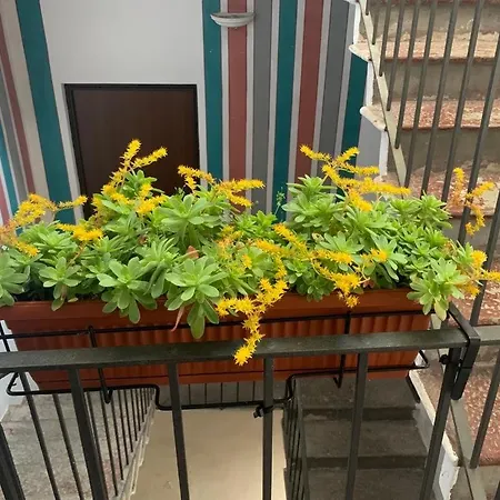 In Centro Storico Apartment Intra