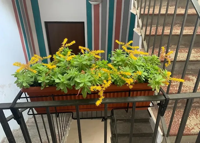 In Centro Storico Appartamento Intra